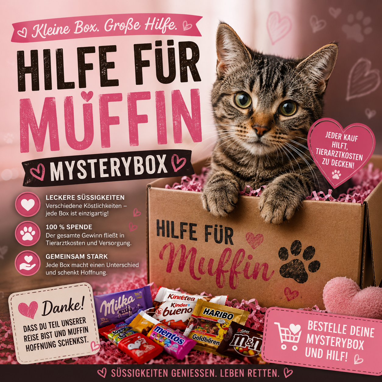 Muffin's Hilfebox L 🐈💕